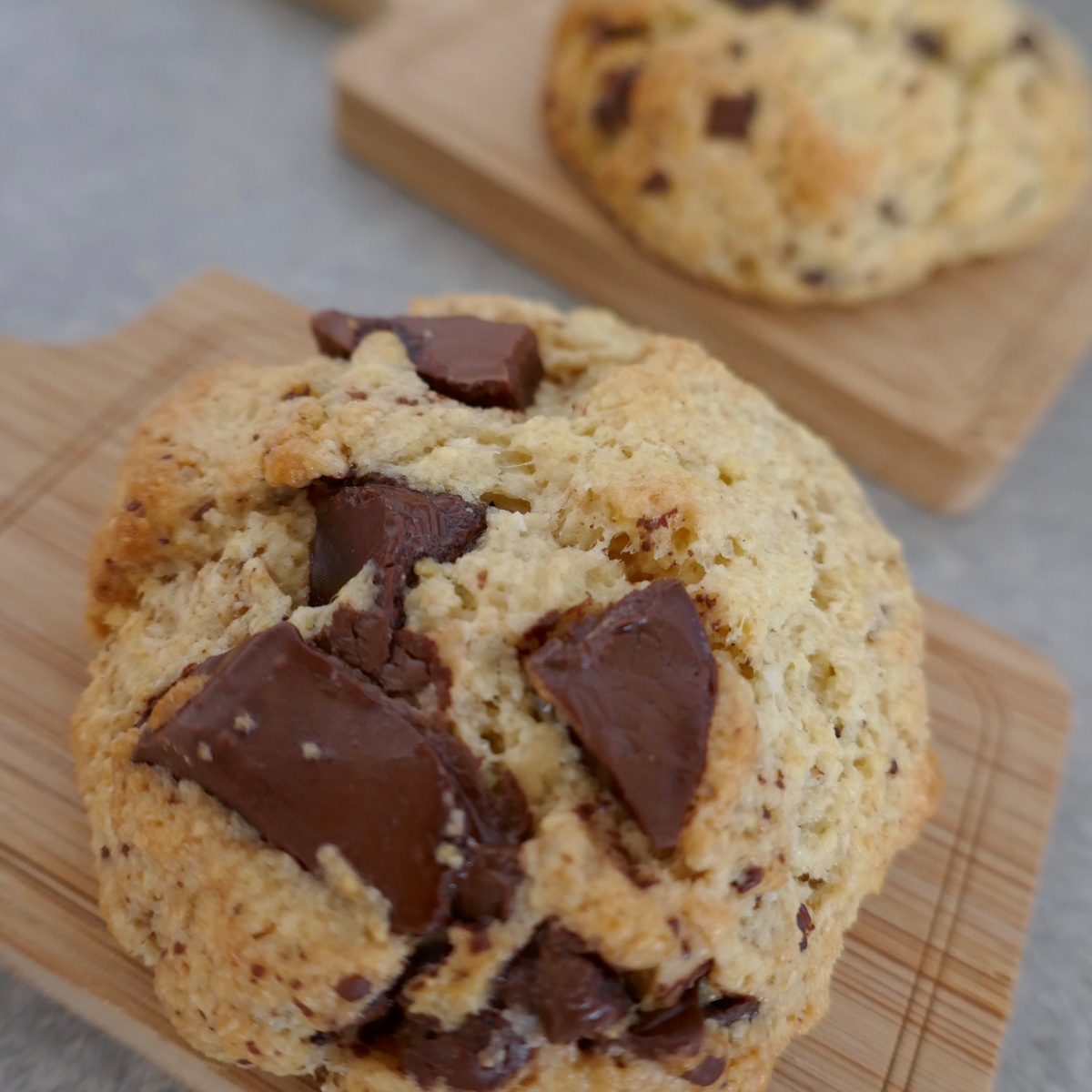 Healthy cookies choco-coco